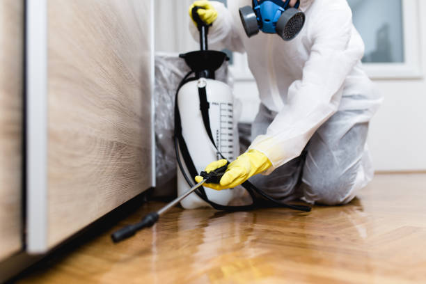 Best Ant Control Services  in Catahou, LA