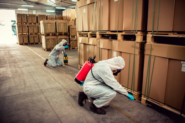 Best Affordable Pest Control Services  in Catahou, LA