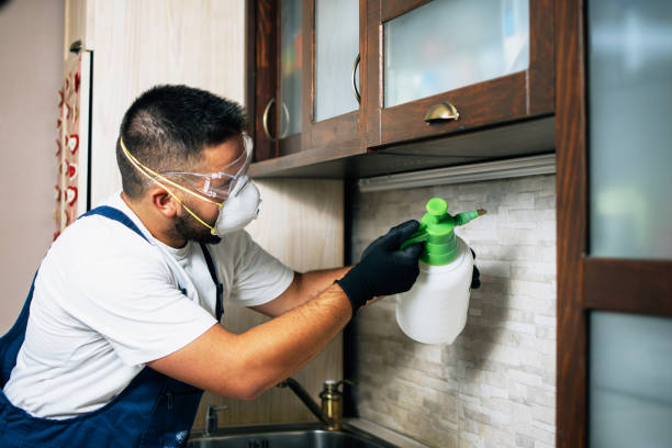 Best Bed Bug Extermination  in Catahou, LA