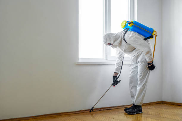 Best Commercial Pest Control Services  in Catahou, LA