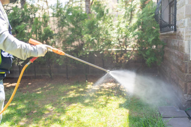 Best Spider Control Near Me  in Catahou, LA