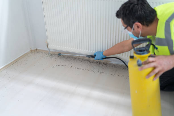 Best Flea Control Services  in Catahou, LA