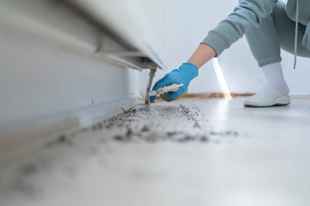 Best Cockroach Control Services  in Catahou, LA